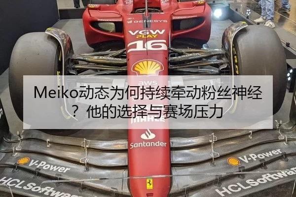 Meiko动态为何持续牵动粉丝神经？他的选择与赛场压力